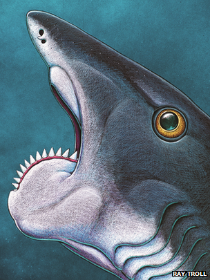 Illustration for article titled This horrifying Palaeozoic fish had a buzz saw for a face